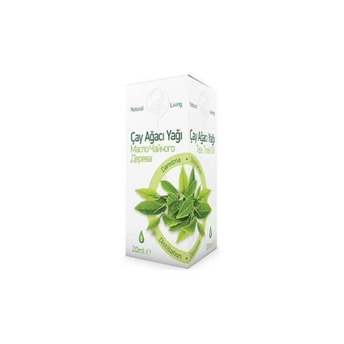 GEBECE ÇAY AĞACI YAĞI 20 ML